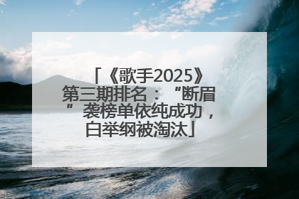 《歌手2025》第三期排名：“断眉”袭榜单依纯成功，白举纲被淘汰