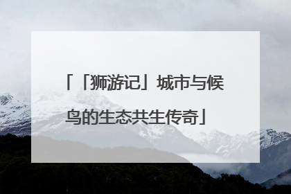 「狮游记」城市与候鸟的生态共生传奇