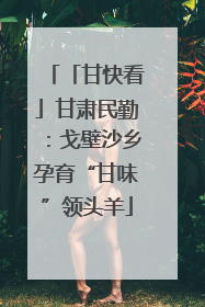 「甘快看」甘肃民勤：戈壁沙乡孕育“甘味”领头羊
