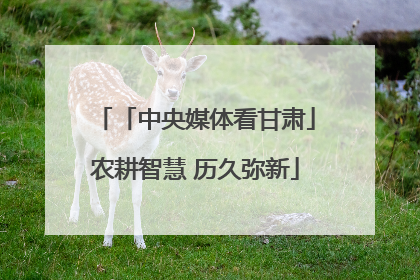 「中央媒体看甘肃」农耕智慧 历久弥新