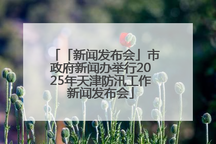 「新闻发布会」市政府新闻办举行2025年天津防汛工作新闻发布会
