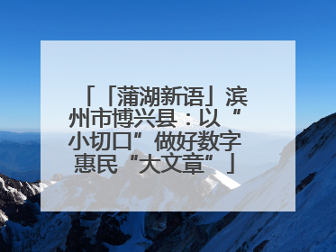 「蒲湖新语」滨州市博兴县：以“小切口”做好数字惠民“大文章”