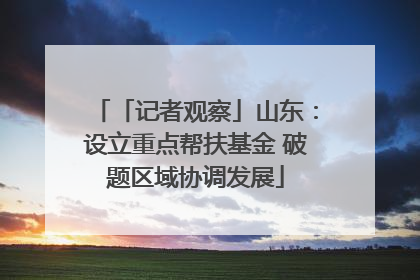 「记者观察」山东：设立重点帮扶基金 破题区域协调发展