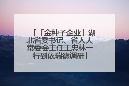 「金种子企业」湖北省委书记、省人大常委会主任王忠林一行到依瑞德调研