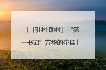 「驻村·助村」“第一书记”方华的牵挂