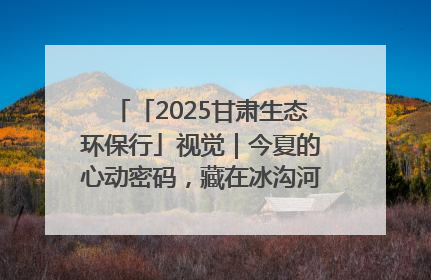 「2025甘肃生态环保行」视觉｜今夏的心动密码，藏在冰沟河的潋滟波光里
