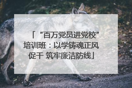 “百万党员进党校”培训班：以学铸魂正风促干 筑牢廉洁防线