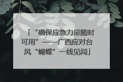 “确保应急力量随时可用”——广西应对台风“蝴蝶”一线见闻