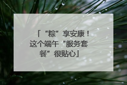 “粽”享安康！这个端午“服务套餐”很贴心