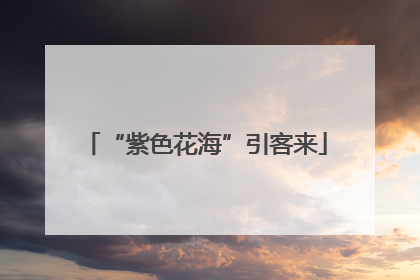 “紫色花海”引客来