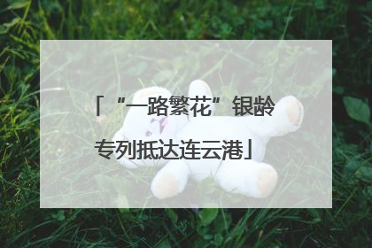 “一路繁花”银龄专列抵达连云港
