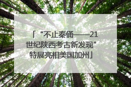 “不止秦俑——21世纪陕西考古新发现”特展亮相美国加州