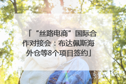 “丝路电商”国际合作对接会：布达佩斯海外仓等8个项目签约