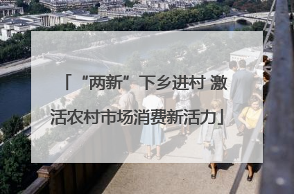 “两新”下乡进村 激活农村市场消费新活力