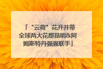 “云荷”花开并蒂 全球两大花都昆明&阿姆斯特丹强强联手