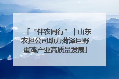 “伴农同行”｜山东农担公司助力菏泽巨野蛋鸡产业高质量发展