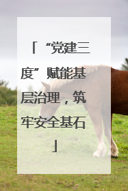 “党建三度”赋能基层治理，筑牢安全基石