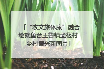“农文旅体康”融合绘就鱼台王鲁镇孟楼村乡村振兴新图景