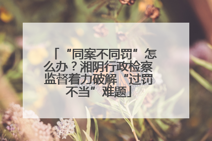 “同案不同罚”怎么办？湘阴行政检察监督着力破解“过罚不当”难题