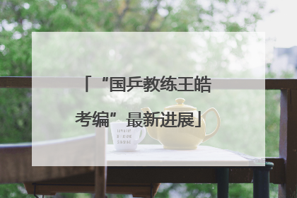 “国乒教练王皓考编”最新进展