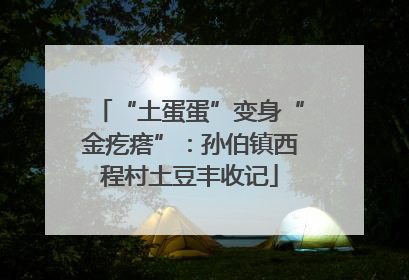 “土蛋蛋”变身“金疙瘩”：孙伯镇西程村土豆丰收记