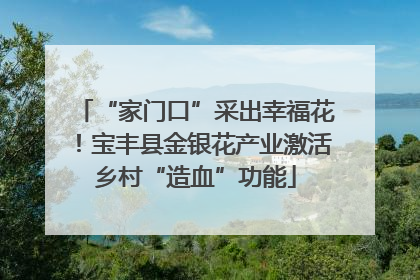 “家门口”采出幸福花！宝丰县金银花产业激活乡村“造血”功能