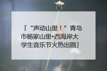 “声动山里！”青岛市杨家山里•西海岸大学生音乐节火热出圈