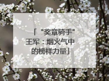 “奖章骑手”王军：烟火气中的榜样力量