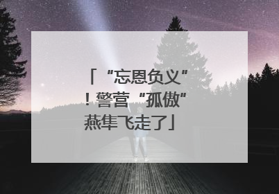“忘恩负义”！警营“孤傲”燕隼飞走了