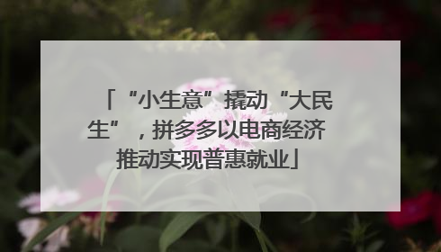 “小生意”撬动“大民生”，拼多多以电商经济推动实现普惠就业