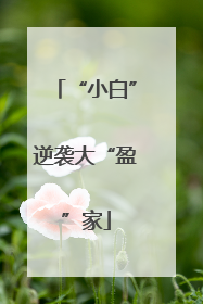 “小白”逆袭大“盈”家