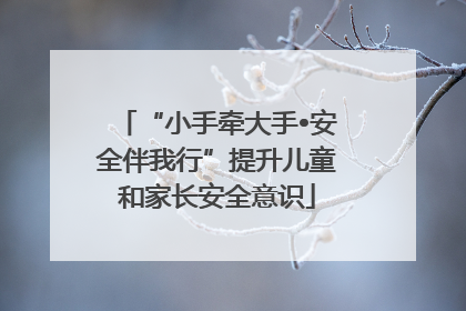 “小手牵大手•安全伴我行”提升儿童和家长安全意识