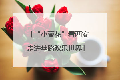 “小葵花”看西安走进丝路欢乐世界