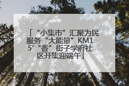 “小集市”汇聚为民服务“大能量”KM15′“香”街子学府社区开集迎端午