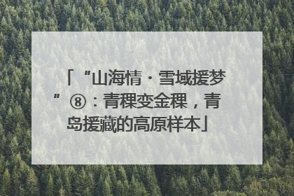 “山海情・雪域援梦”⑧：青稞变金稞，青岛援藏的高原样本
