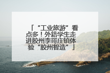 “工业旅游”看点多！外籍学生走进胶州李哥庄镇体验“胶州智造”