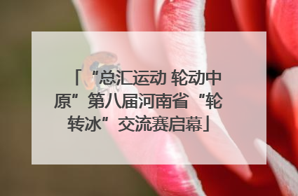 “总汇运动 轮动中原”第八届河南省“轮转冰”交流赛启幕