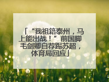 “我祖籍泰州，马上能出战！”前国脚毛剑卿自荐踢苏超，体育局回应