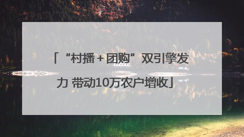 “村播＋团购”双引擎发力 带动10万农户增收