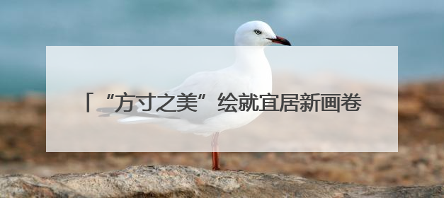“方寸之美”绘就宜居新画卷 兰州市城关区40余小游园成市民“绿色福利”打卡地