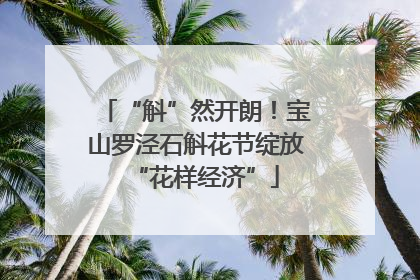 “斛”然开朗！宝山罗泾石斛花节绽放“花样经济”