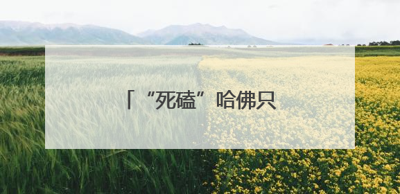 “死磕”哈佛只因曾被拒入学？特朗普：纯属造谣