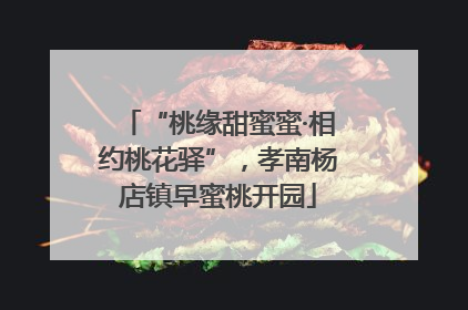 “桃缘甜蜜蜜·相约桃花驿”，孝南杨店镇早蜜桃开园