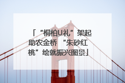 “桐柏U礼”架起助农金桥 “朱砂红桃”绘就振兴图景