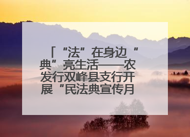 “法”在身边“典”亮生活——农发行双峰县支行开展“民法典宣传月”活动