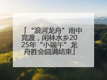 “浪河龙舟”雨中竞渡，闲林水乡2025年“小端午”龙舟胜会圆满结束