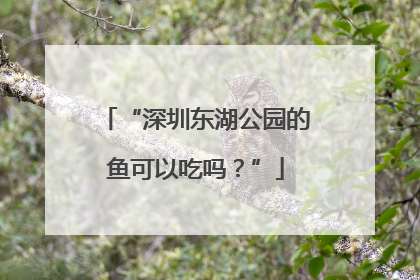 “深圳东湖公园的鱼可以吃吗？”