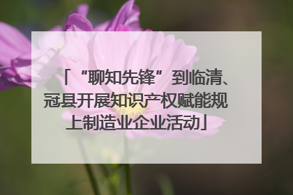 “聊知先锋”到临清、冠县开展知识产权赋能规上制造业企业活动