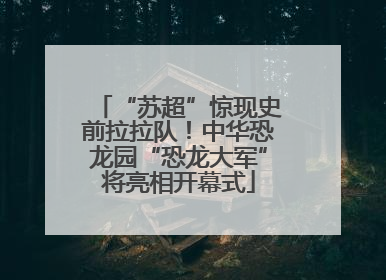 “苏超”惊现史前拉拉队！中华恐龙园“恐龙大军”将亮相开幕式