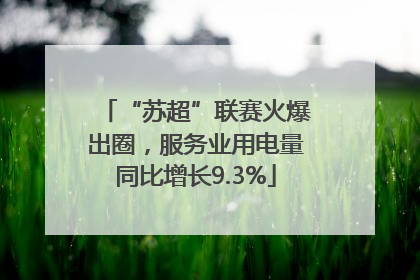 “苏超”联赛火爆出圈，服务业用电量同比增长9.3%